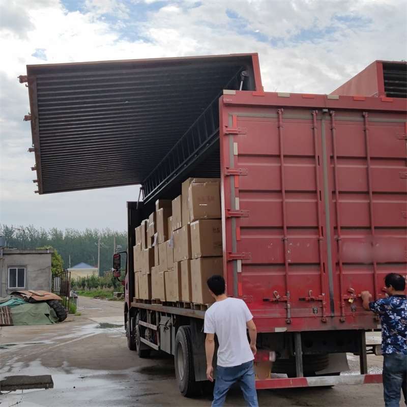 小榄镇扎囊县：物流专线的高效货运之旅